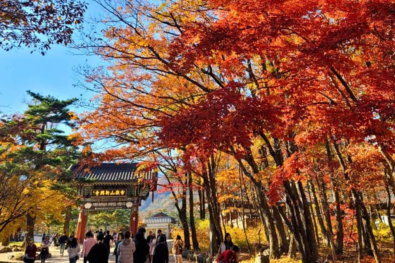 SEOUL – SEORAK – SOKCHO